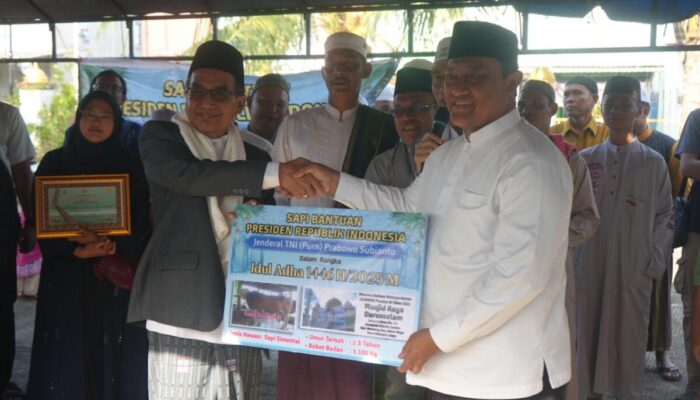 Semangat Kurban di Kalteng: Presiden Sumbang 15 Sapi, Disalurkan saat Iduladha