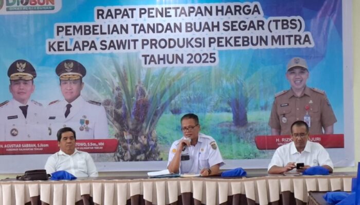 Harga TBS Sawit Periode I Maret 2025 Ditetapkan, Petani Mitra Nikmati Kenaikan Stabil