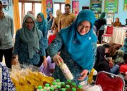 Pj Ketua TP PKK Barito Utara Melly Novita Tekankan Pentingnya Memperkuat Peran Posyandu