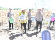 Dukung Ketahanan Pangan, Bupati Ahmad Rifa’i Hadiri Panen Jagung