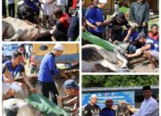 Polda Kalteng Sembelih 52 Sapi dan 12 Kambing Sambut Idul Adha 1446 H