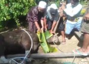 Ucapkan Terima Kasih Pada Bupati Kapuas, Pemdes HT Terima Hewan Kurban
