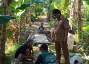 Gotong Royong, Warga Sakalagun Benahi Jembatan Yang Rusak Akibat Abrasi