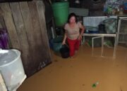 Desa Tumbang Tihis Kebanjiran, Ini Kata Kades Ade