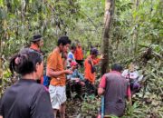 Dilaporkan Hilang, Tim SAR Gabungan Belum Temukan Jamur