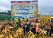 Dukung Swasembada Pangan, Polres Barut Kawal Panen Jagung Tahap III di Sei Rahayu I