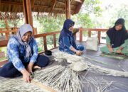 Penggerak Ekonomi Masyarakat, Kampung Reforma Agraria Bukit Sinyonya Jadi Ruang Kreatif