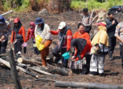 Dukung Program Ketahanan Pangan, Pemkab Mura dan Forkopimda Tanam Jagung Serentak