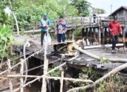 Untuk Masyarakat, Kadis PUPR Dampingi Bupati Kapuas Tinjau Progres Jalan Konektivitas Antarwilayah Demi Pemerataan Pembangunan