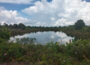Dugaan Penyalahgunaan Dana Desa Kubu, Kajari Kobar Terkesan Lamban