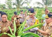 Kapolda Kalteng Hadiri Peresmian Kampung UMKM Misik, Dorong Penguatan Ekonomi Kerakyatan
