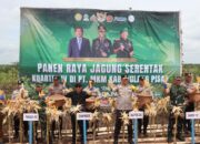 Sinergi TNI–Polri dan Swasta, Panen Jagung di Pulang Pisau Perkuat Ketahanan Pangan Kalteng