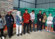 Jelang Ramadan, Pemprov Kalteng Pastikan Stok dan Harga Pangan Masih Aman
