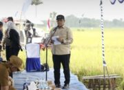 Pemprov Kalteng Tegaskan Komitmen Ketahanan Pangan Lewat Panen Raya Demplot di Pulang Pisau