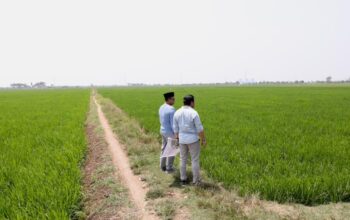 Menteri Nusron Pastikan Kawasan Industri Indramayu Tak Ganggu Lahan Sawah Produktif