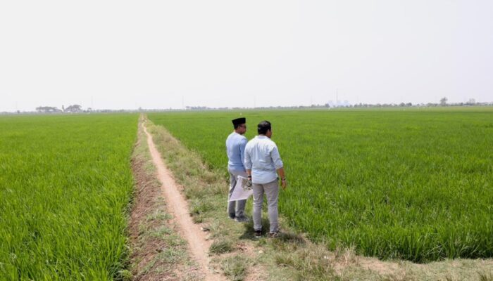 Menteri Nusron Pastikan Kawasan Industri Indramayu Tak Ganggu Lahan Sawah Produktif