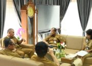 Dorong Lompatan Layanan, Dinkes Kalteng Matangkan Pengembangan RSUD Doris Sylvanus Lewat Skema Pembiayaan Global