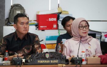 Pansus DPRD Kalteng Dalami Revisi Raperda Penanaman Modal dan PTSP