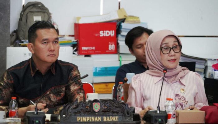 Pansus DPRD Kalteng Dalami Revisi Raperda Penanaman Modal dan PTSP