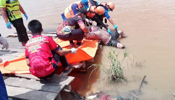 Hari Ketiga Pencarian, Korban Tenggelam di Sungai Katingan Ditemukan Tak Bernyawa