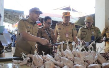 Pantau Harga di Pasar Blok R, Wabup Kapuas Dorong Satu Data Inflasi yang Akurat