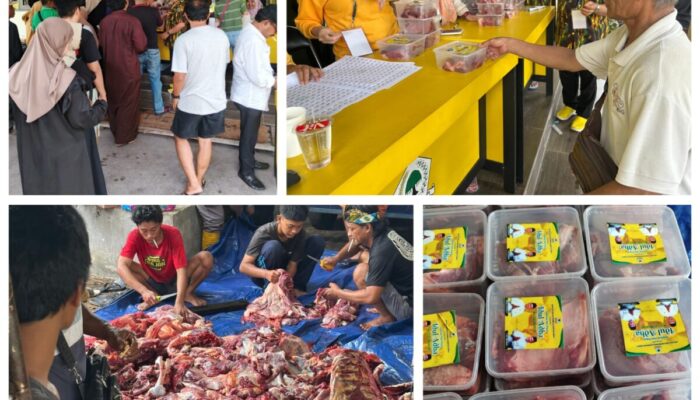 Golkar Kalteng Sembelih 7 Sapi Kurban, Daging Dibagikan ke Warga hingga Ojol