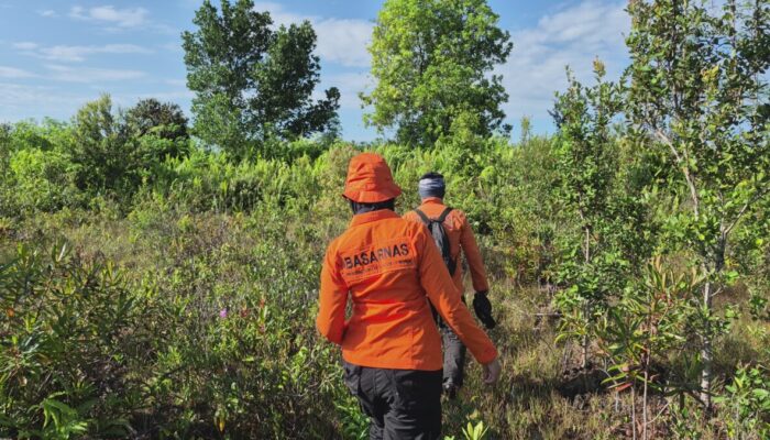 Kakek 78 Tahun Belum Kembali dari Hutan, Operasi SAR Masuki Hari Kedua
