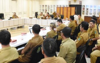Demi Ketahanan Pangan, Kapuas Bersiap Buka Sawah Baru di Empat Kecamatan