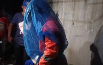 Sarang Tawon di Permukiman Resahkan Warga Pahandut Dievakuasi Tim Rescue BPK Kamboja