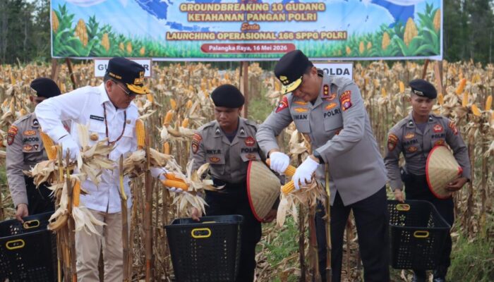 Panen Jagung di Rakumpit, Kapolda Kalteng Dorong Semangat Swasembada Pangan