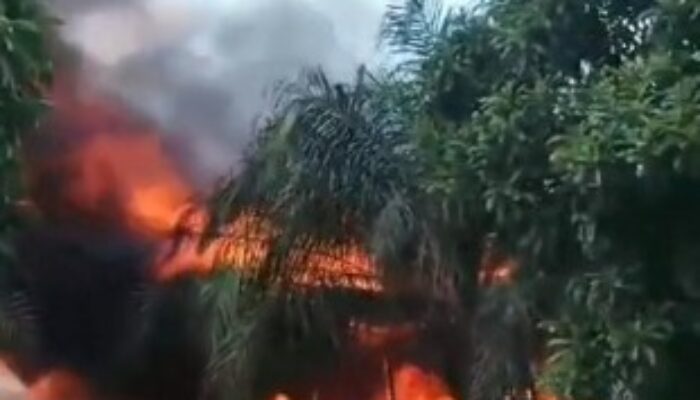 Kebakaran di Sabangau, Rumah dan Gudang Kayu Hangus Dalam Sejam