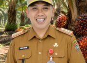 Harga Sawit di Kalteng Ditetapkan Ulang, Disbun Minta PKS Tak Main di Bawah Acuan