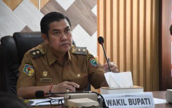 Wabup Pulang Pisau Ikuti Rapat Nasional Pengendalian Inflasi, Tekankan Pemantauan Harga Bahan Pokok