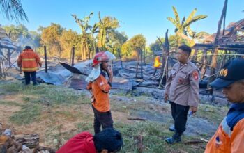 Kebakaran Kandang Ayam di Marang, Ribuan Anak Ayam Mati dan Kerugian Capai Rp300 Juta