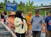 Petani Budidaya Ikan di Kapuas Keluhkan Harga Pakan, DPRD Kalteng Dorong Bantuan Mesin Produksi