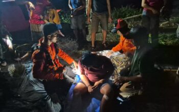 Dua Pemuda yang Hilang di Hutan Kapuas Ditemukan Selamat, Operasi SAR Ditutup