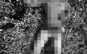 Mayat Pria Ditemukan di Kebun Buah Misik Sabangau, Polisi Lakukan Penyelidikan