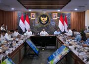Wamen ATR/BPN Beberkan Progres Dukungan PSN Papua Selatan, Empat RDTR Sudah Ditetapkan