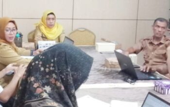 Belajar Kelola Data Lebih Baik, Pemkab Kapuas Ikuti Sosialisasi SDI, IPD, dan Bhumandala