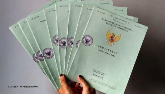 Pemisahan Bidang Tanah, Solusi Saat Ingin Jual Sebagian Lahan Tanpa Menghapus Sertipikat Induk