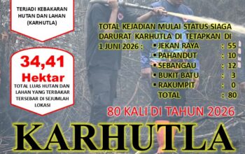 Karhutla di Palangka Raya Capai 80 Kejadian, BPBD: Kondisi Cuaca Kering Tingkatkan Risiko Kebakaran