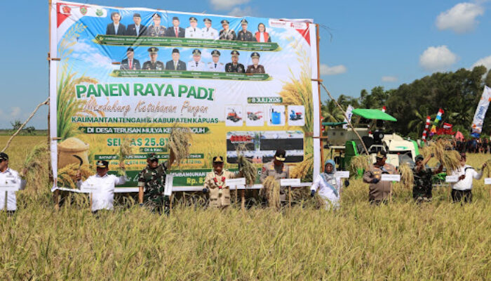 Panen Raya di Kapuas Capai 25.817 Hektare, Petani Didorong Tingkatkan Produktivitas