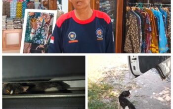 Kucing Terjebak di Celah Tangga Ruko Palangka Raya Berhasil Dievakuasi Tim Rescue BPK Kamboja