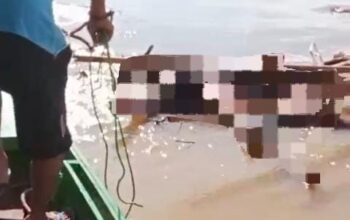 Bripda Nopandri Ditemukan Meninggal di Sungai Katingan, Pencarian Aiptu Sumariyanto Terus Berlanjut