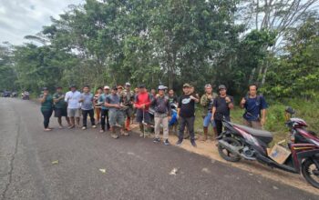 Camat Kapuas Hulu Pimpin Gotong Royong Bersihkan Bahu Jalan Demi Keselamatan Pengendara