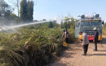 Api Menjalar ke Lahan Gambut, Polresta Palangka Raya Kerahkan AWC untuk Pemadaman