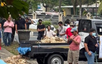 Kesal Listrik Kerap Padam, Peternak Ayam Buang Bangkai Ternak di Depan Kantor PLN Palangka Raya
