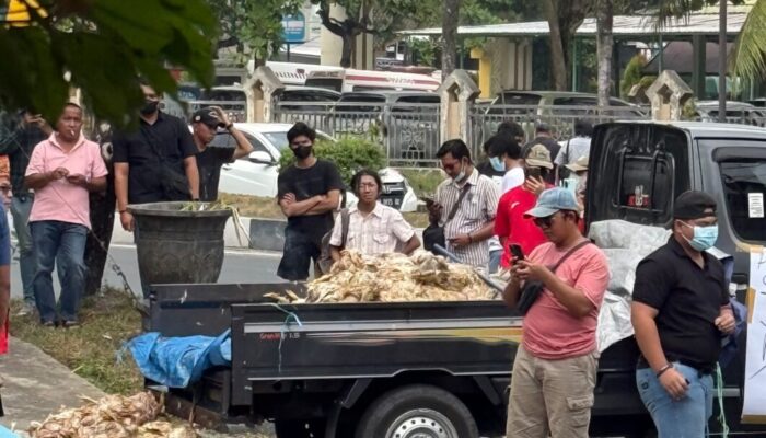 Kesal Listrik Kerap Padam, Peternak Ayam Buang Bangkai Ternak di Depan Kantor PLN Palangka Raya