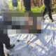 Penggerebekan Terduga Bandar Sabu di Katingan, Satu Polisi Gugur dan Dua Anggota Masih Dicari