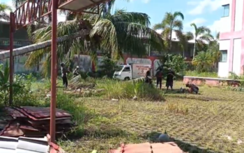 Relawan BPK Kamboja Evakuasi Pohon Kelapa dan Kelapa Sawit Tumbang di Palangka Raya, Proses Berlangsung Tiga Jam